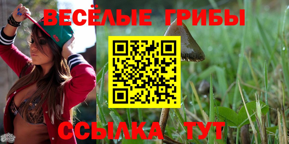 Псилоцибиновые грибы прущие грибы  Вход с VPN  Волоколамск 