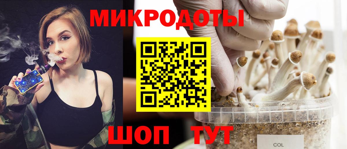 Псилоцибиновые грибы Cubensis Волоколамск